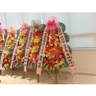 Uploaded File