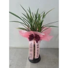 Uploaded File
